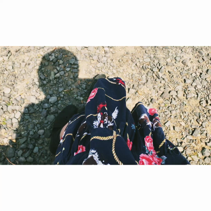 日向ぼっこの記事動画