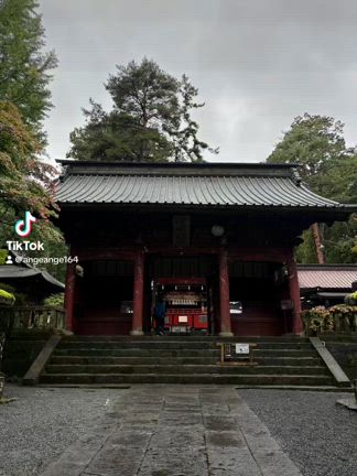 「木」のパワーが欲しい方にお勧めの神社です⛩️の記事動画
