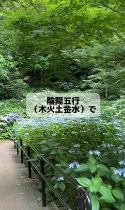 あなたはどんな景色の人でしょうの記事動画