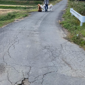 休憩の画像