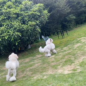 証拠動画の画像