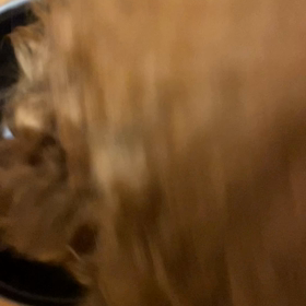 違いの画像