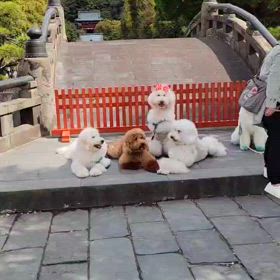 思い出の画像