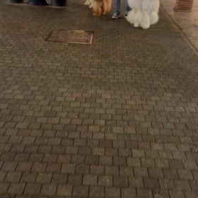 サイズの画像