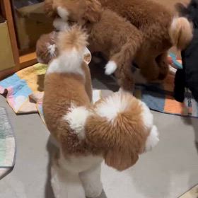 ワンプロの画像
