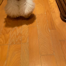 ちびっ子大将暴走中の画像