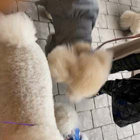 自称の画像