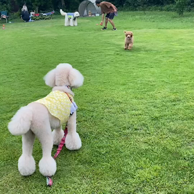遊びましょーの画像