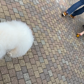 早歩きの画像