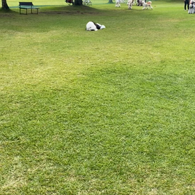 遊び方の画像