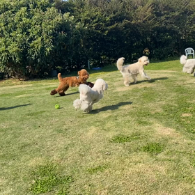 更生の場所の画像
