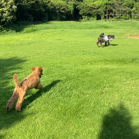 いつもの場所の画像