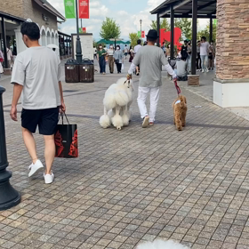 優等生の画像