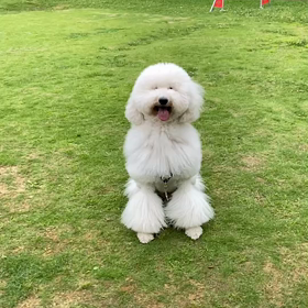 スローの画像