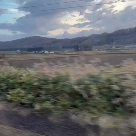 2023/11/23の画像