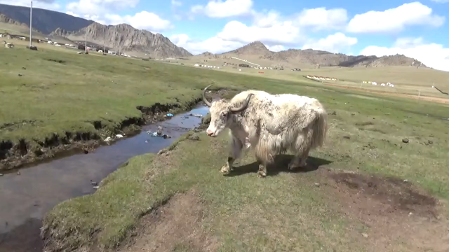 モンゴル乗馬旅行〜②の記事動画