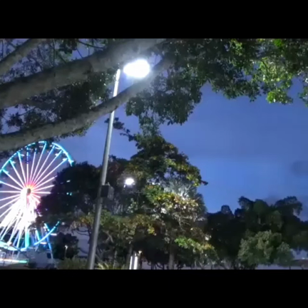 夜のオーストラリア＼(^o^)／の記事動画