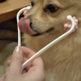 未来を見ようの画像