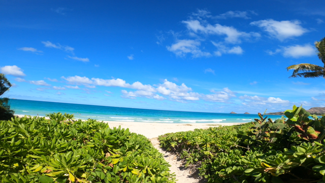 ♡Kailua Beach♡の記事動画