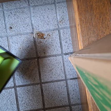 玄関のたたき汚れにオススメのブラシで掃除の記事動画