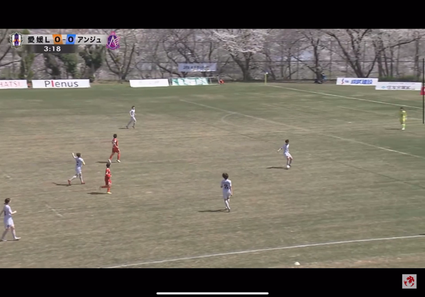 最近涼しくなりましたねの記事動画