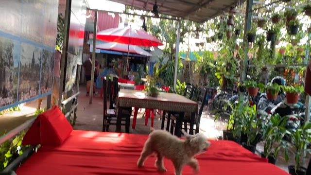 エリコ様の休日の記事動画