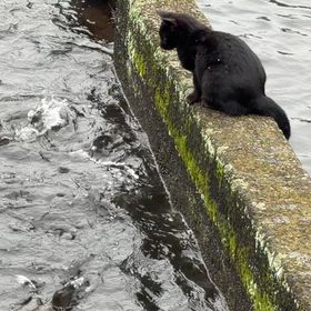 2026/09/15！雨降って、水量が増え、良い感じになりました。の画像