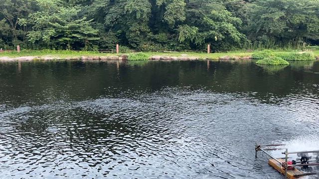 雨降って…なんとやらの記事動画
