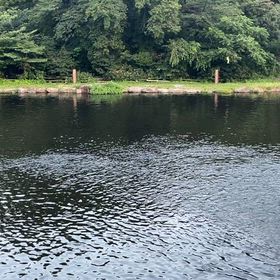 雨降って…なんとやらの画像