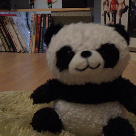 甥っ子にプレゼントしたヤーツの画像