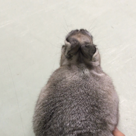 運動の画像