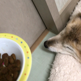 寝起きの画像
