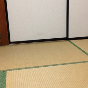 遊ぶ姿の画像