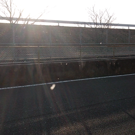 雪華の画像