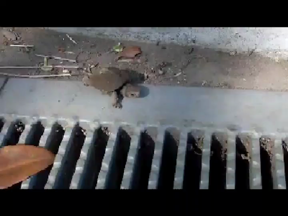 おやおや。の記事動画