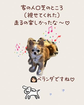 美味しかった桜餅♡虹組さんのお話の記事動画