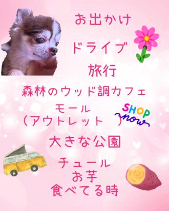 虹組さん⭐︎何してる時が楽しかったのかな？の記事動画