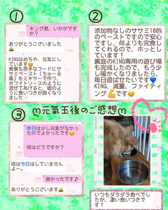 レスキューされたKING君の現在（いま）素敵なママに出会えて穏やかに過ごしてます♡の記事動画