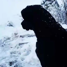 私の責任から逃げるの画像