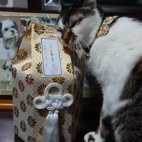 ありがとうさよならこじろう...のサムネイル画像