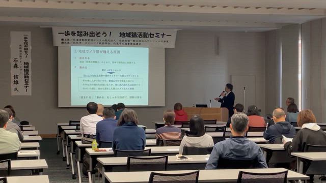 地域猫活動は難しくないの記事動画