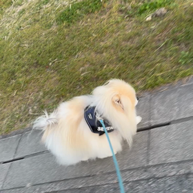 2022/12/02の画像