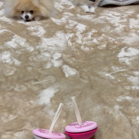 個性が光る。の画像
