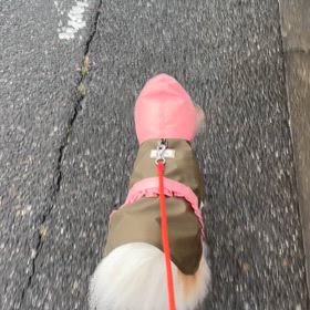 よく降る雨の日。の画像