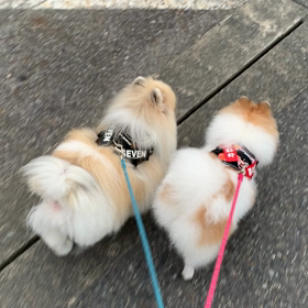 ちょっとだけ成果。の画像
