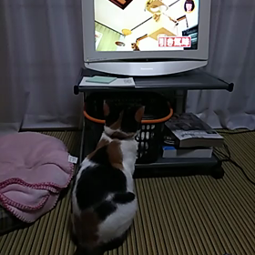 テレビの画像