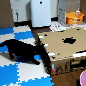 水がなくても…の画像
