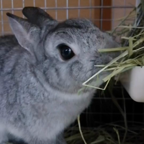 お久しぶりの画像