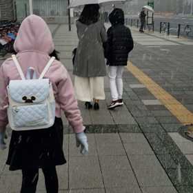 杏関東は雪の画像