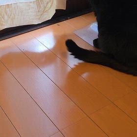 虫の季節ですの画像